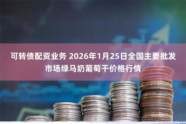可转债配资业务 2026年1月25日全国主要批发市场绿马奶葡萄干价格行情