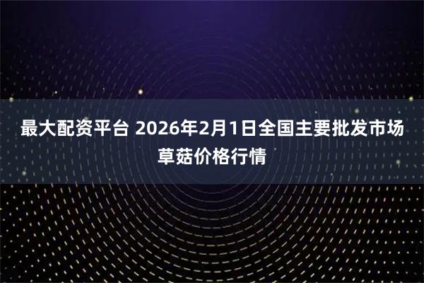 最大配资平台 2026年2月1日全国主要批发市场草菇价格行情