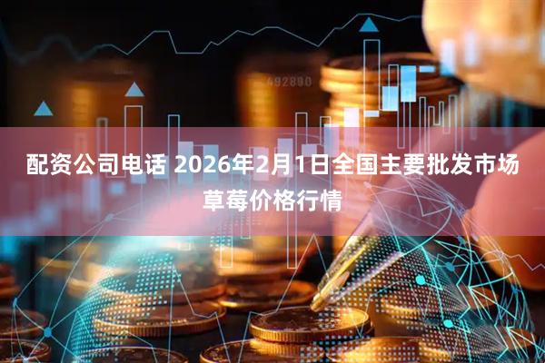 配资公司电话 2026年2月1日全国主要批发市场草莓价格行情