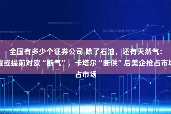 全国有多少个证券公司 除了石油，还有天然气：俄或提前对欧“断气”，卡塔尔“断供”后美企抢占市场